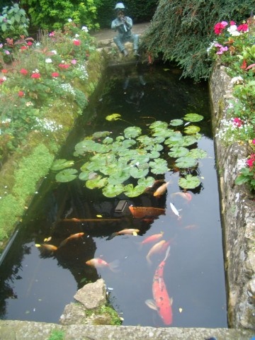 the koi pond in the courtyard, Amberley Castle