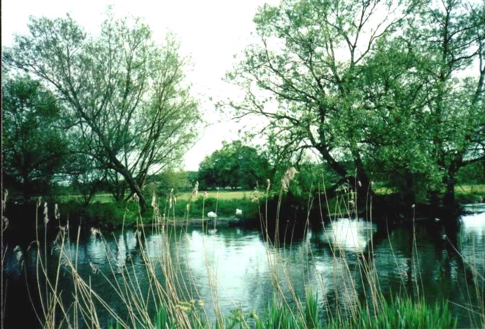 River Avon in Salisbury