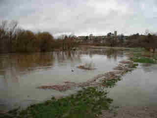 Langport. The church on the hill, viewed from beside the flooded river Parrett near Huish bridge