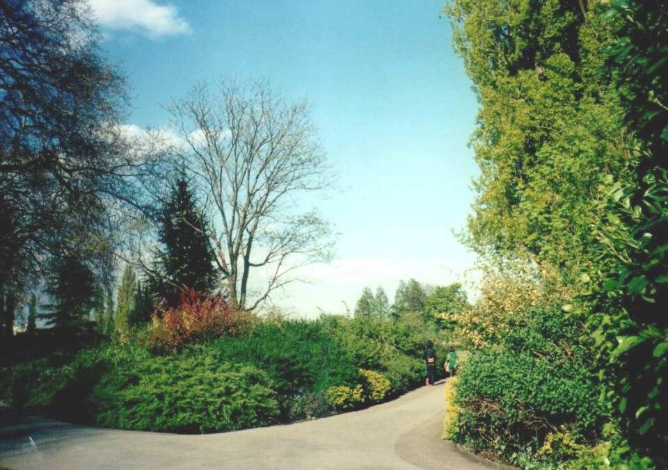 London - Regent`s Park, Queen Mary's Gardens, May 2001
