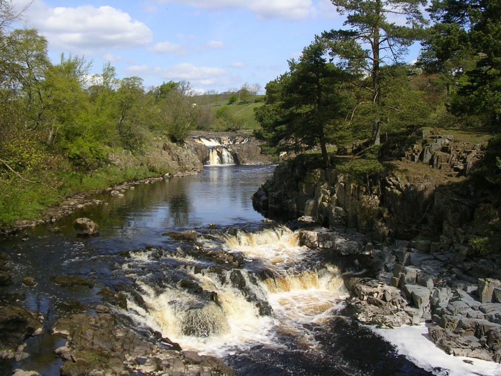 Low Force, at Bowlees on the River Tees, Upper Teesdale, County Durham.