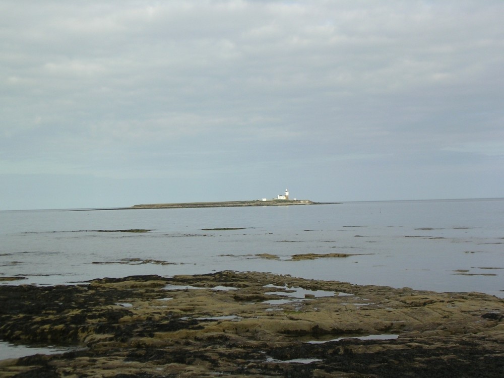 Coquet Island, Amble, Northumberland coast.