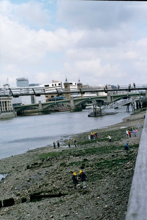 London - Thames and Millennium Bridge, June 2005