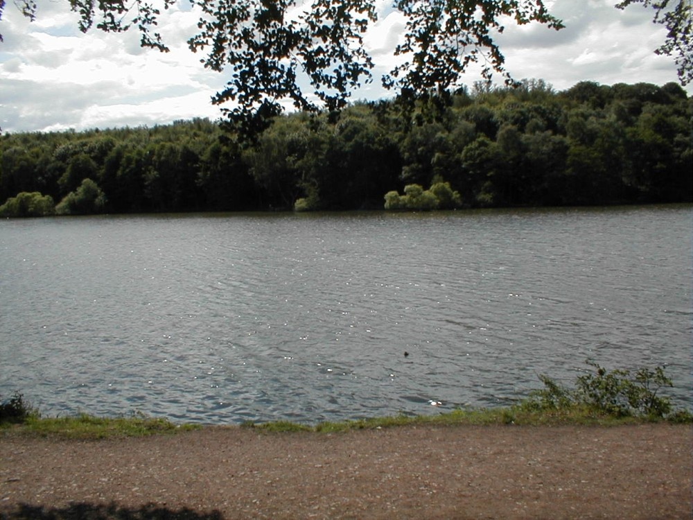 A beautiful view of newmillerdam in the summer time, West Yorkshire