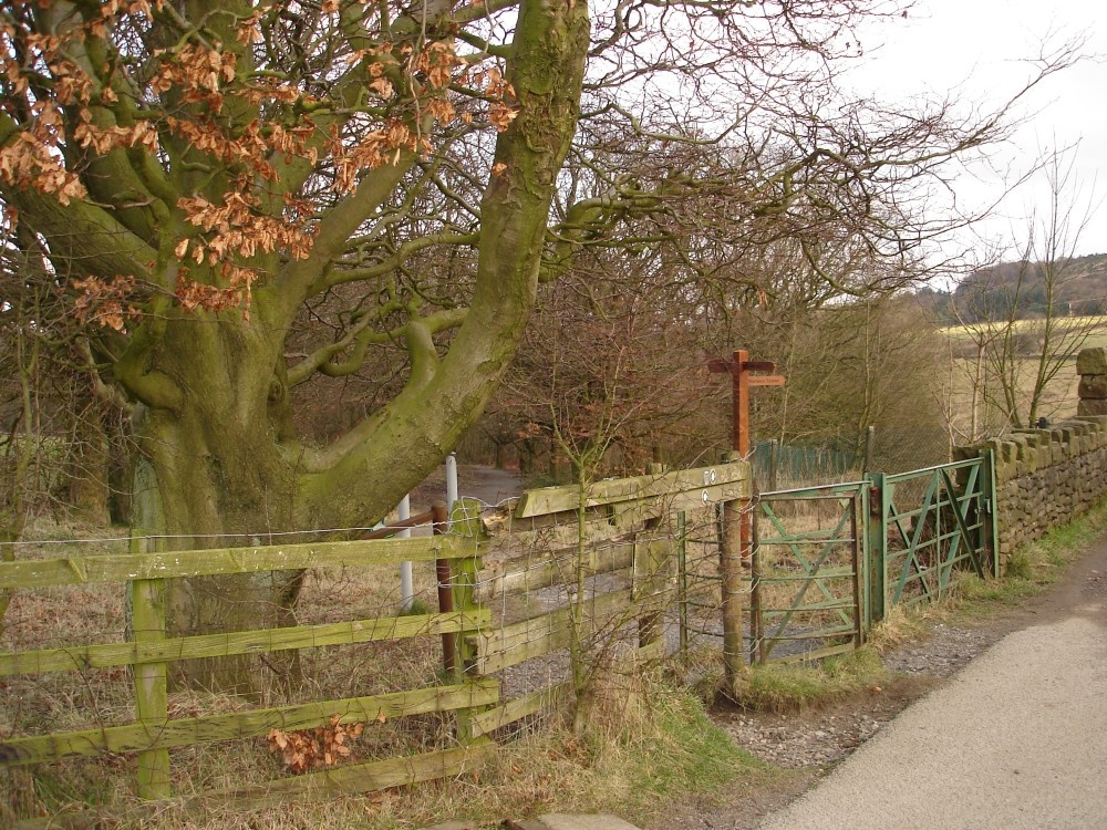 The highest entrance to Sunnyhurst Woods, Darwen, Lancashire.