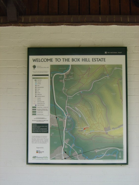 Welcome to Box Hill