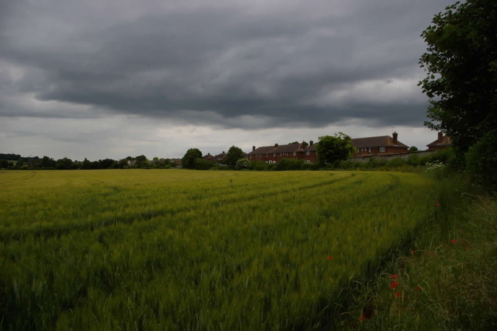 Countryside near Saffron Walden, Essex