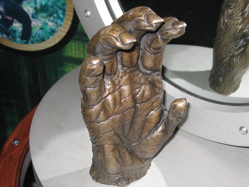 Model of a gorilla's hand at iExplore, Bristol