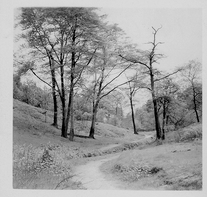 Prestwich; the foot of mere clough; spring 1957