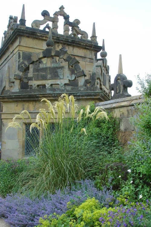 Pampas Grass at Hardwick Hall, Derbyshire
