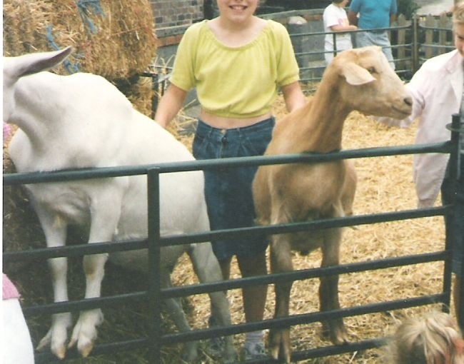 White Post Farm Park - Close to Farnsfield Notts - In with the goats 1990