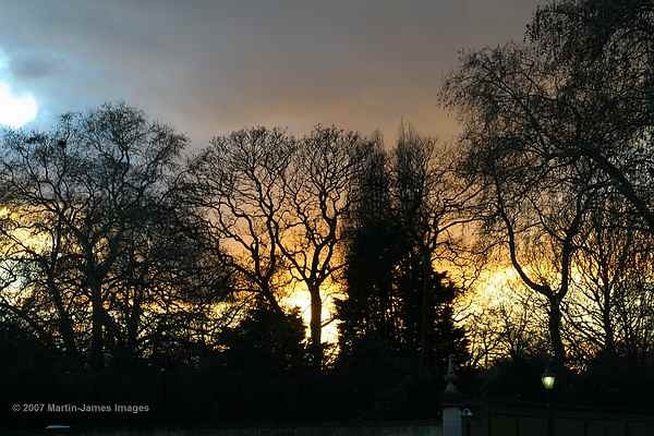 The sun setting over the Buckingham Palace Garden (London!)
