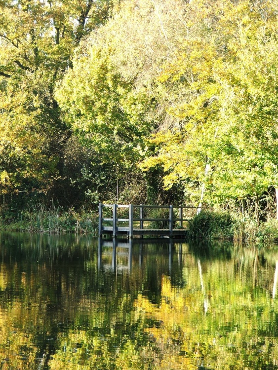 Lake in Sissinghurst Castle Gardens