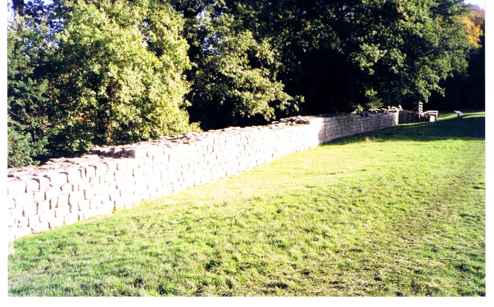 Hadrian's Wall near Corbridge