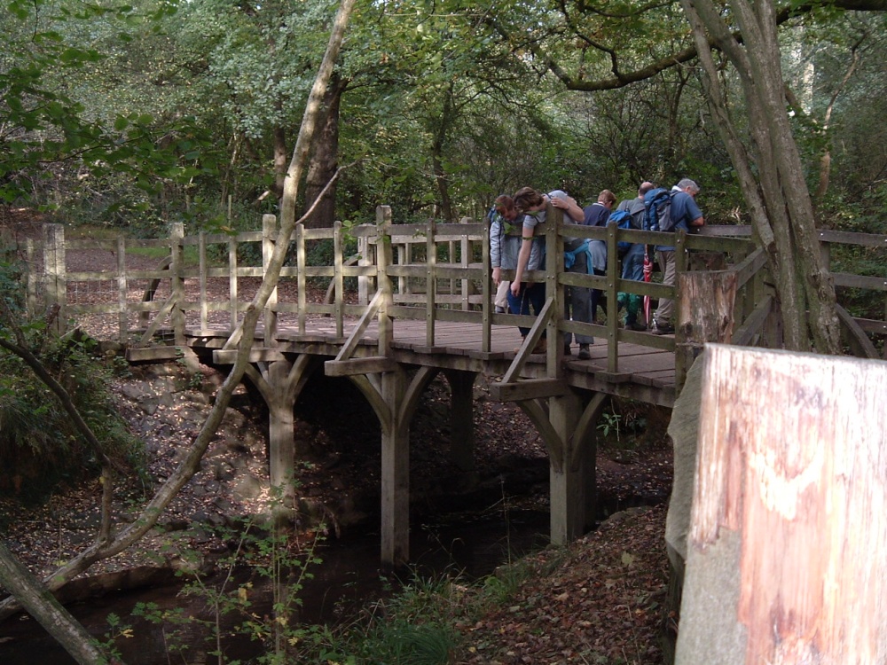 Pooh sticks bridge, Ashdown forest, Nr Hartfield. East Sussex