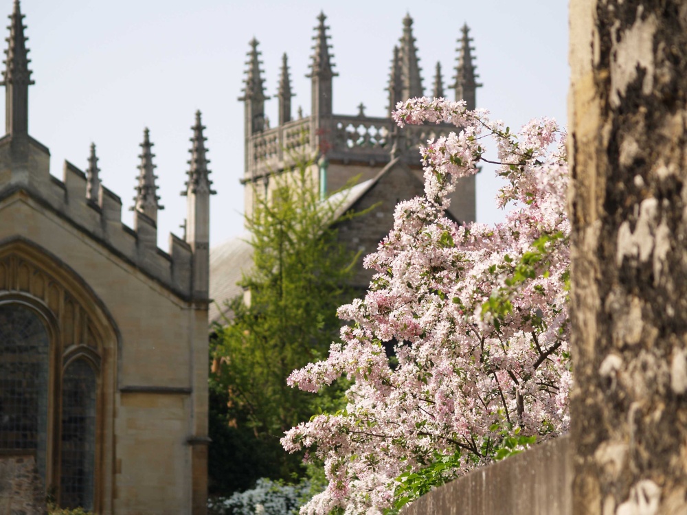 At the back of All Souls College, Oxford University