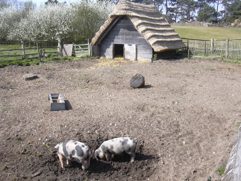 The pig sty, West Stow Country Park, West Stow, Suffolk