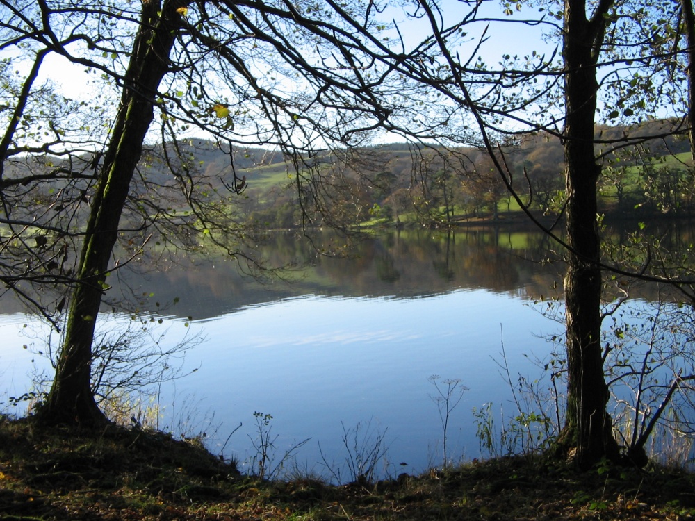 Late Autumn afternoon at Esthwaite Water.  Near Sawery, Cumbria.Canon Powershot A400