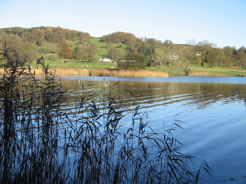 Late Autumn Afternoon at Esthwaite Water, Near Sawery. Cumbria.