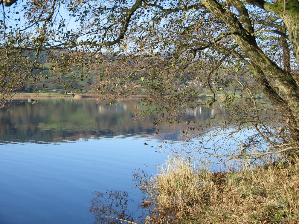 Late Autumn Afternoon at Esthwaite Water, Near Sawery. Cumbria.
