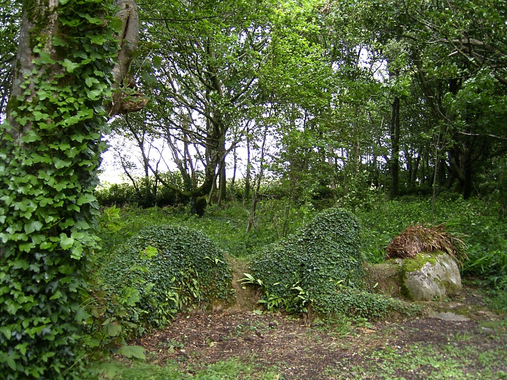 Lost Gardens of Heligan, Cornwall.