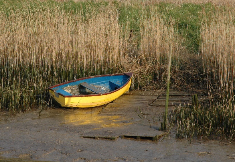 Boat in Norfolk