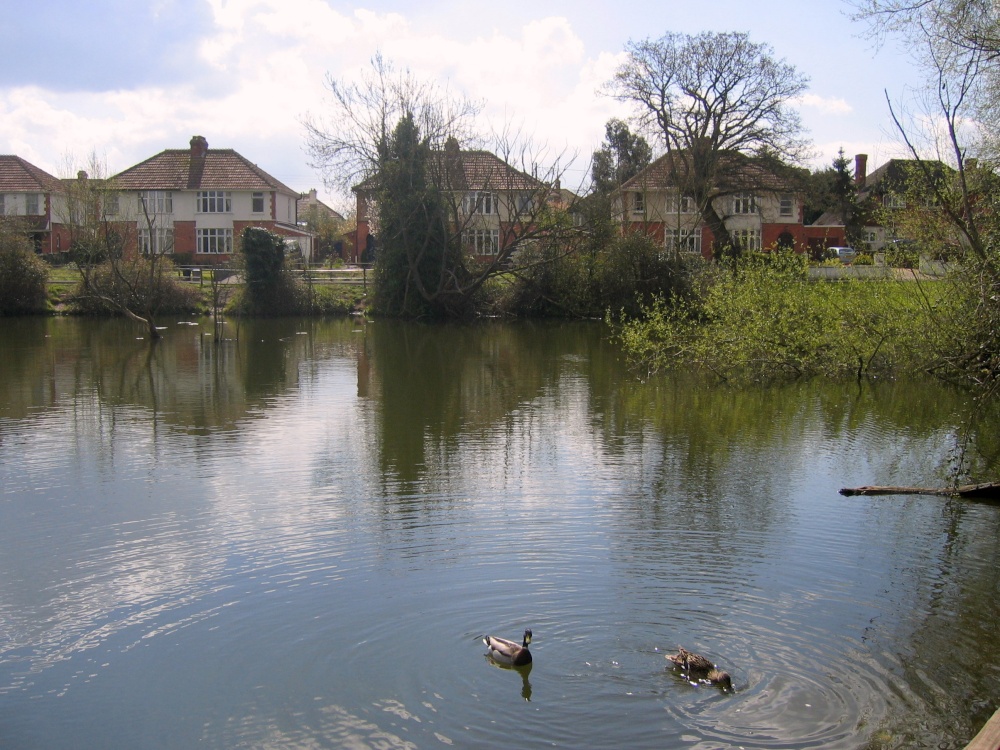 Brown's Pond, off Taunton Road