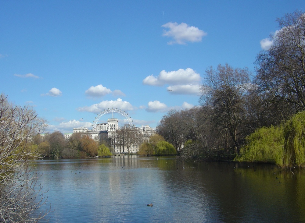 View of the London Eye from St. James's Park.