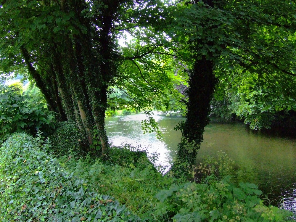 The river at Ashford