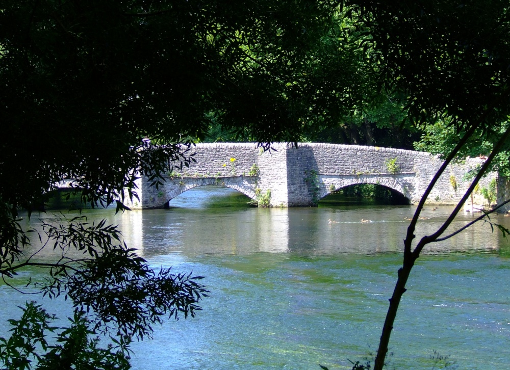 The bridge through the trees