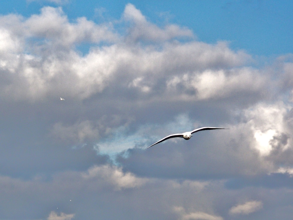 A gentle flight over Whitlingham Lake