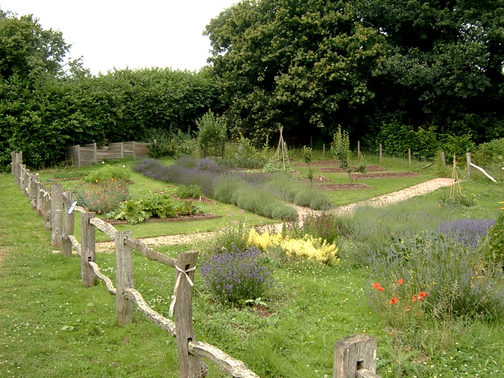 The Lavender Garden at Cockington Court.