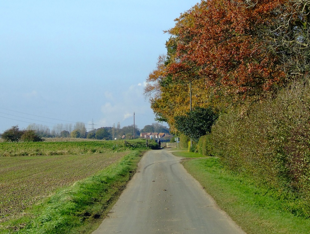 Looking to the west from Faxfleet