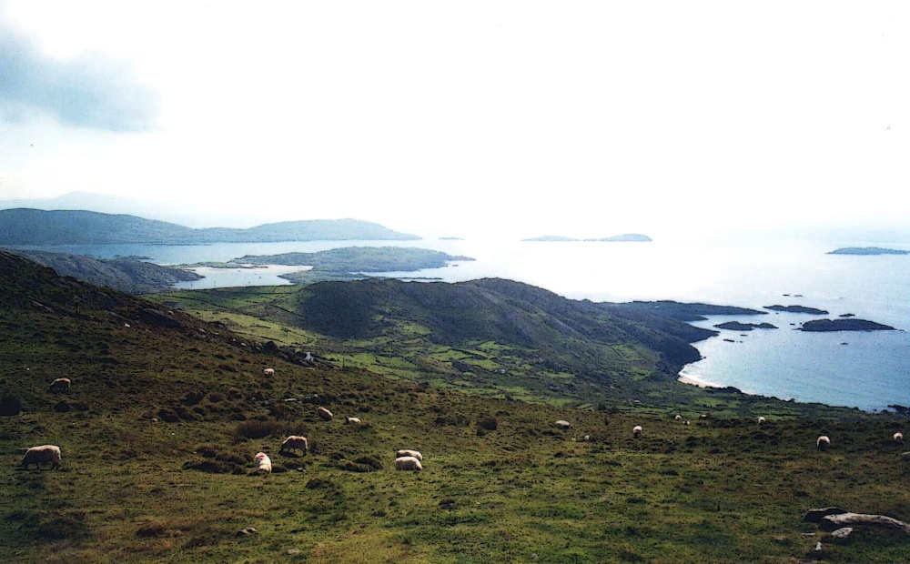 Views of County Cork