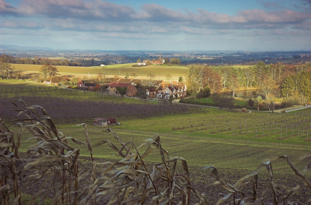 Pictures of Leigh Sinton