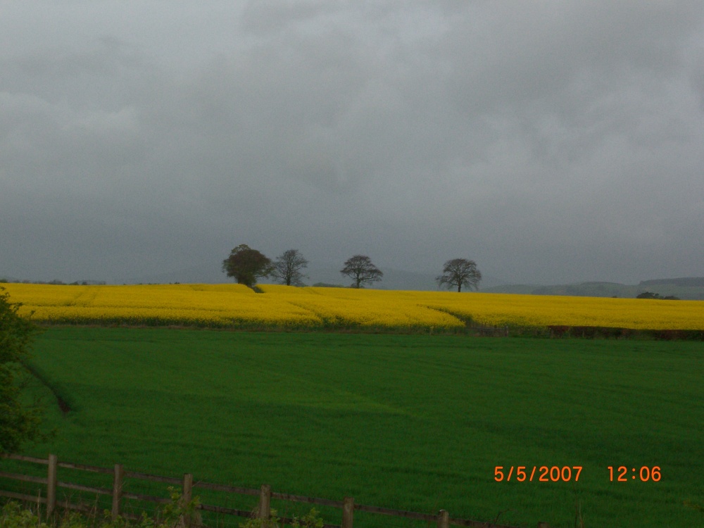 Fields in Scotland