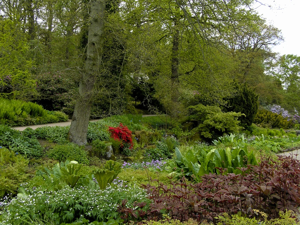 Harlow Carr in May