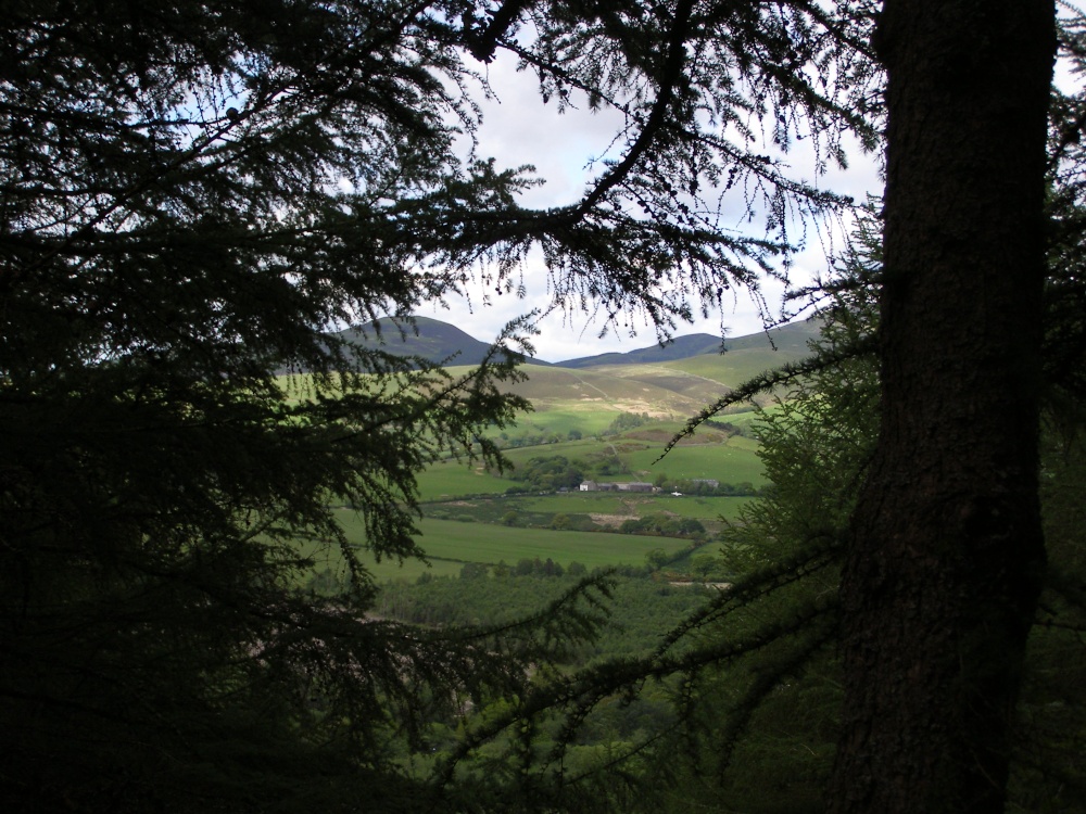 Looking out from Crag Fell