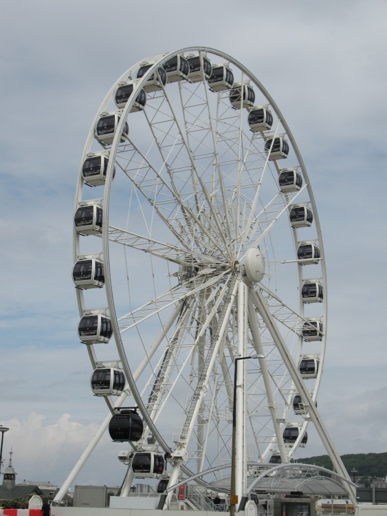 The wheel