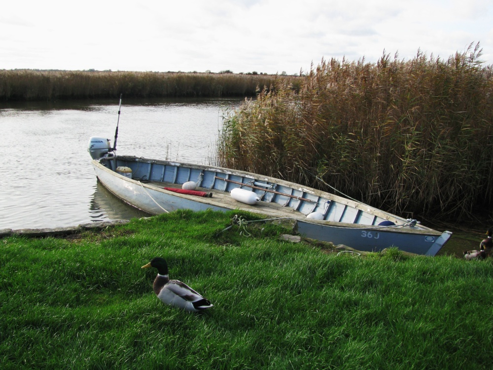 The River Bure