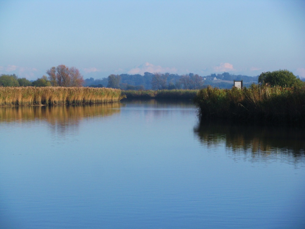 The River Waveney