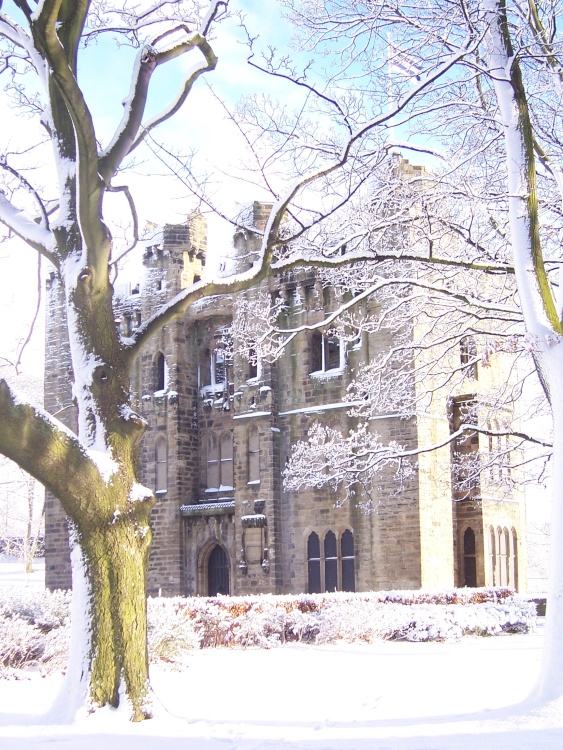 The Castle in the snow