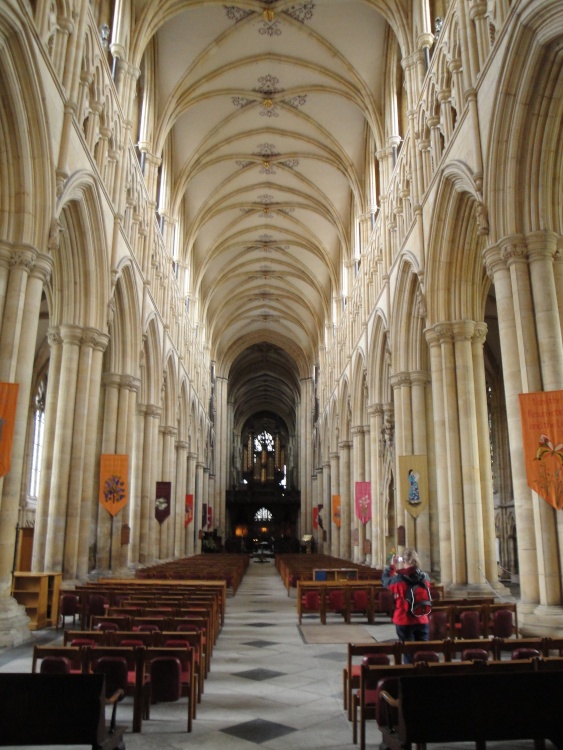 Beverley Minster, the nave
