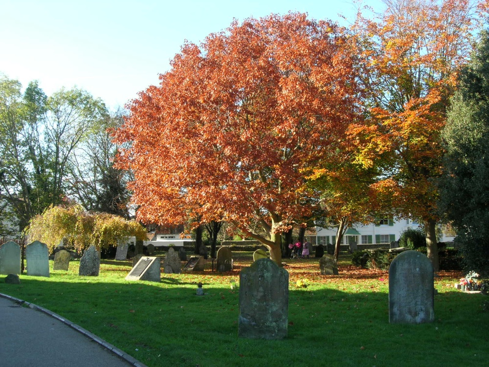 Shoreham Church grounds