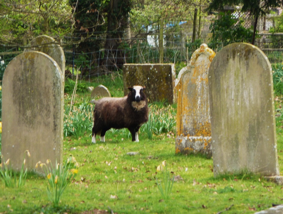 Another worker in the Graveyard