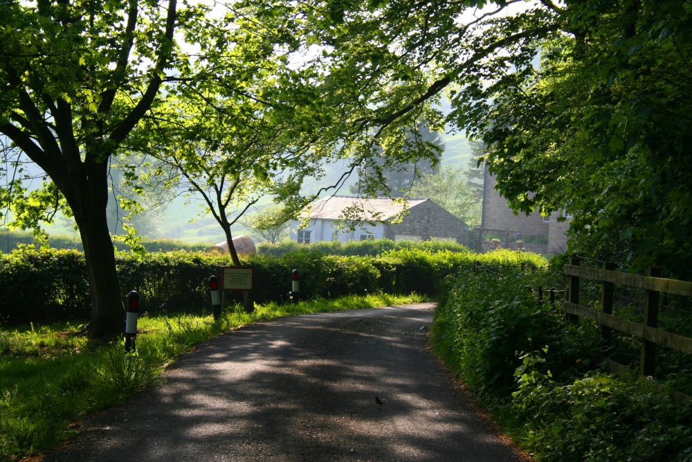 Quiet Lane in May