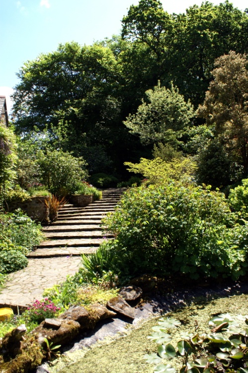 Path from the gardens to the tearooms.