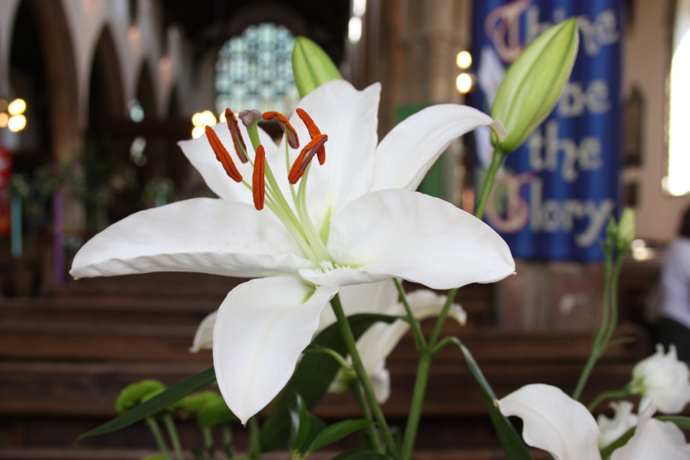 Beccles Church Flower Festival