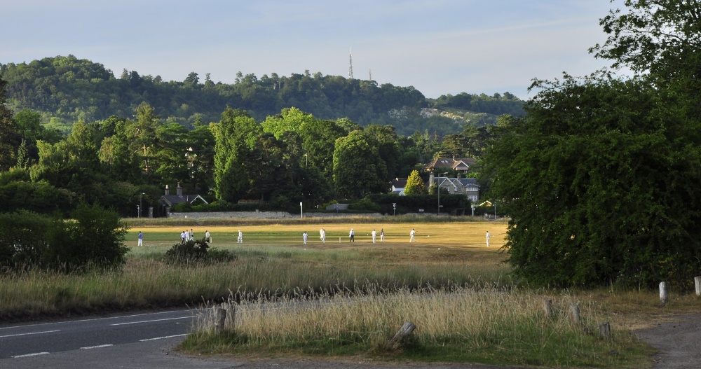 Cricket on the Heath