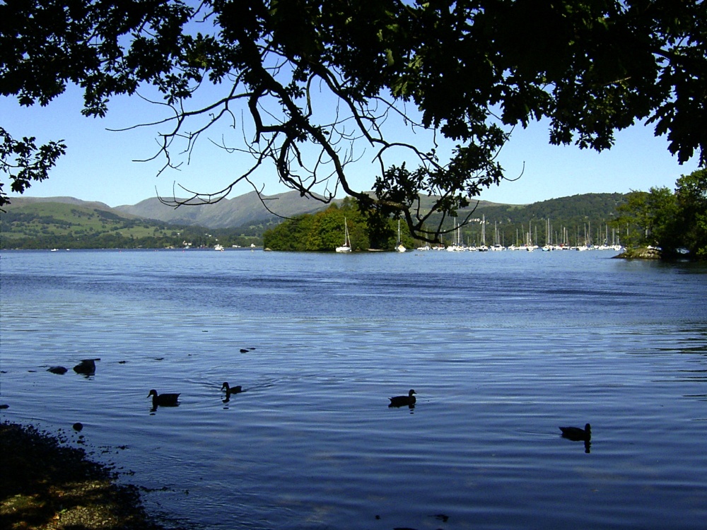 Windermere looking north on a summer afternoon.